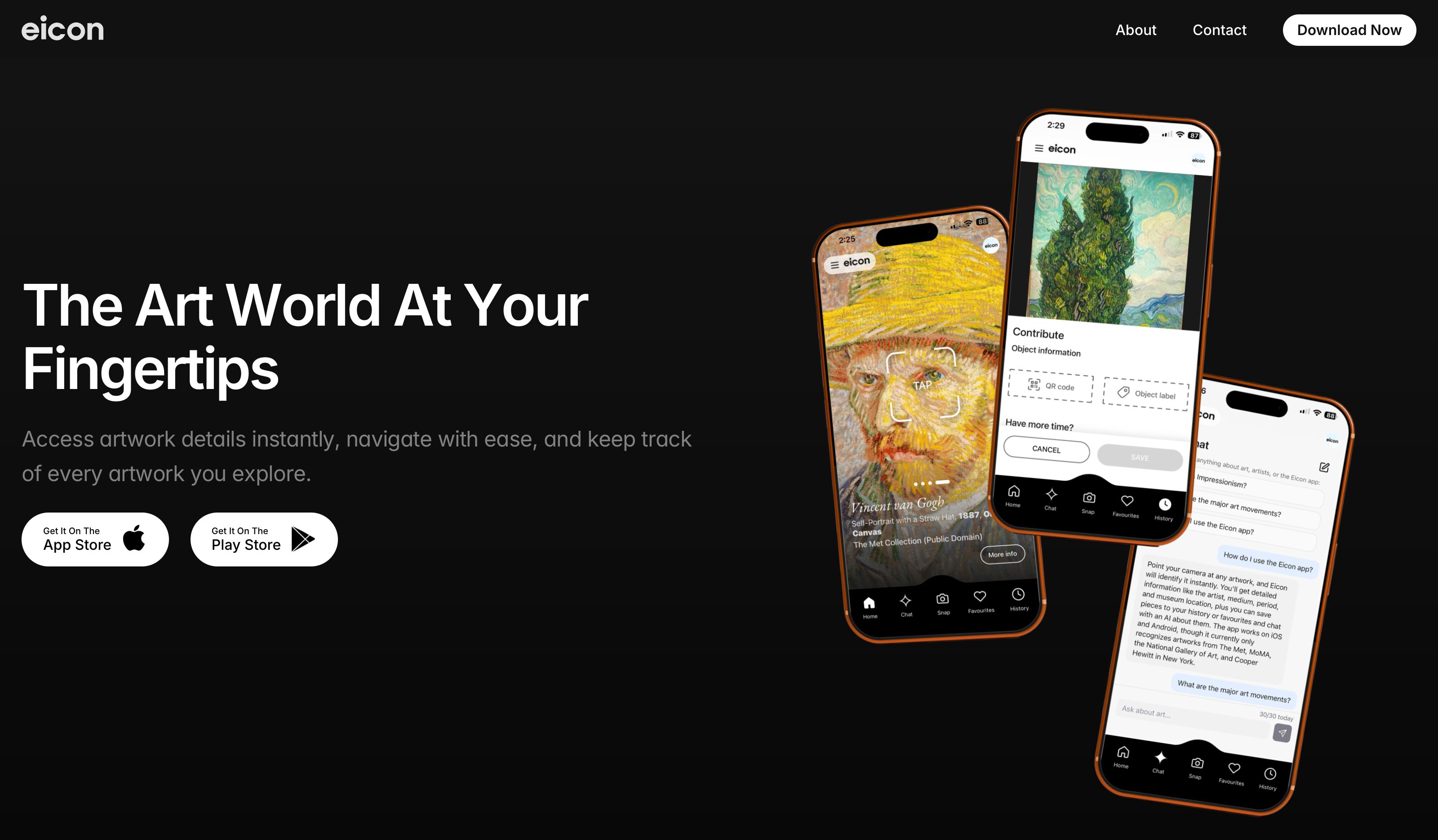 Eicon Vision — mobile product & brand